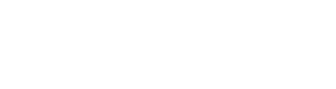 Just Lady brand logo text